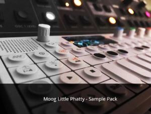 Moog Little Phatty Samples Image